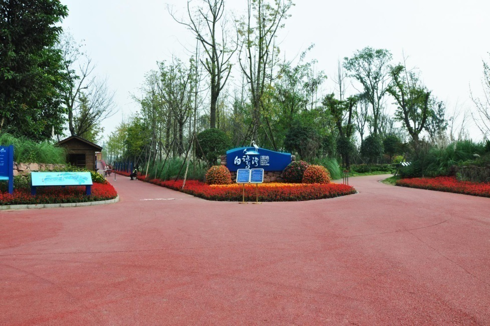 白鷺溪濕地.png