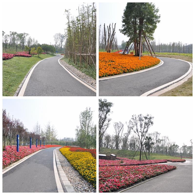 成都市三圣鄉(xiāng)白鷺溪生態(tài)濕地瀝青路面工程.jpg