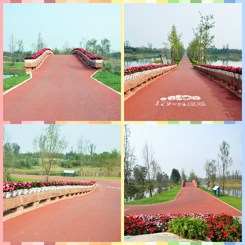 成都市三圣鄉(xiāng)白鷺溪生態(tài)濕地瀝青路面工程2.jpg